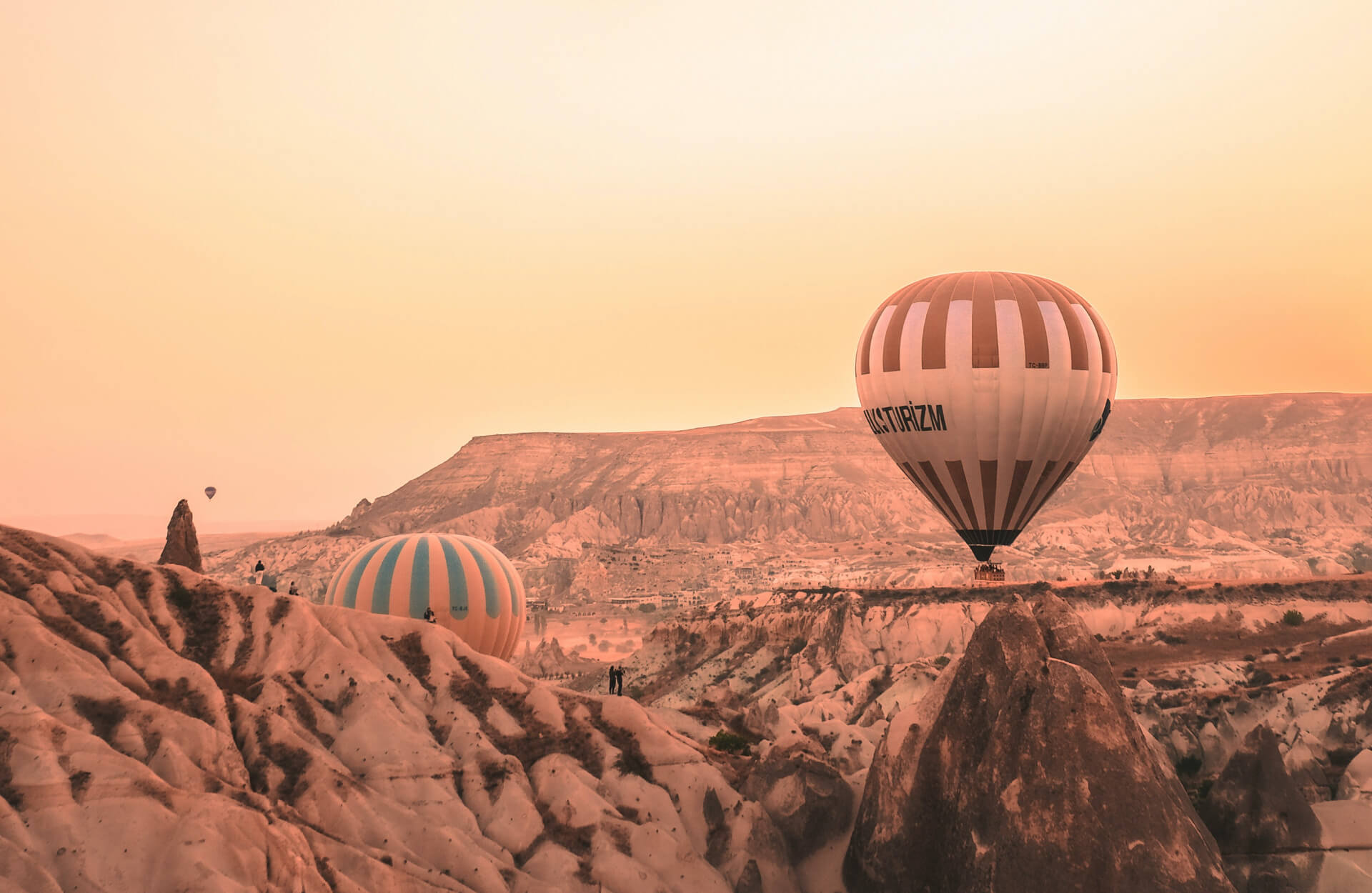 Web Hosting Services