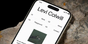 Digital <br> Design <br> Experience